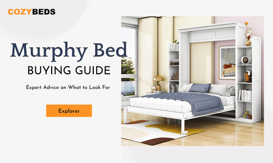 Murphy Bed Buying Guide: Expert Advice on What to Look For