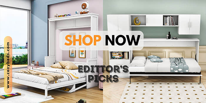 Editor's Picks for Murphy Bed