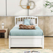 Wooden Twin Platform Bed with Trundle and Headboard